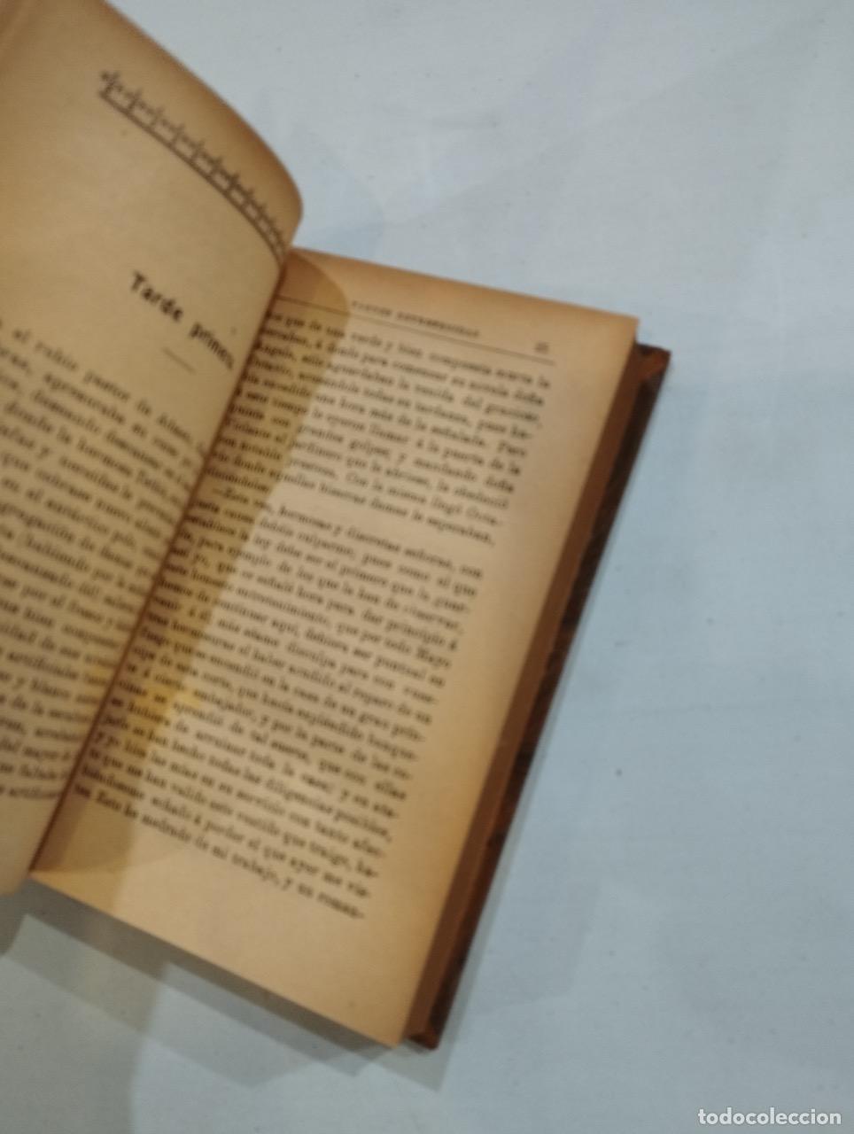 Libros: Alonso de Castillo - Tardes entretenidas - Foto 2