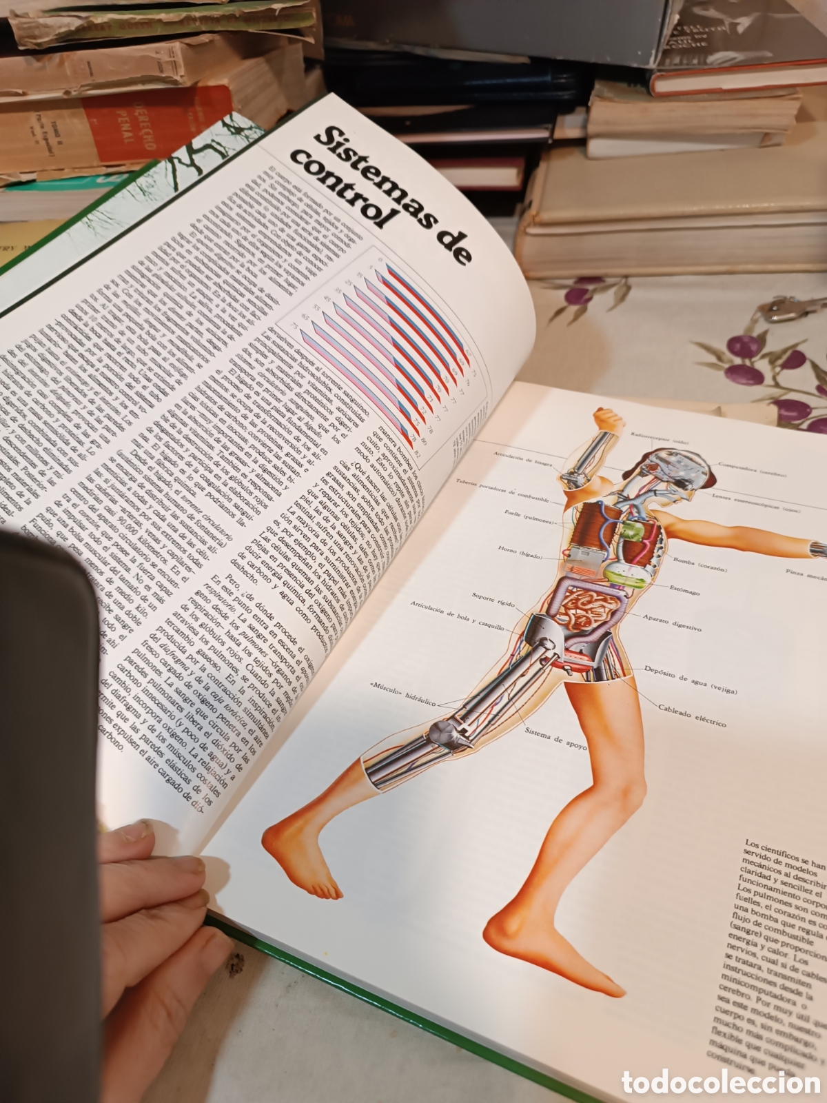 Libros: El libro de la salud - Foto 3