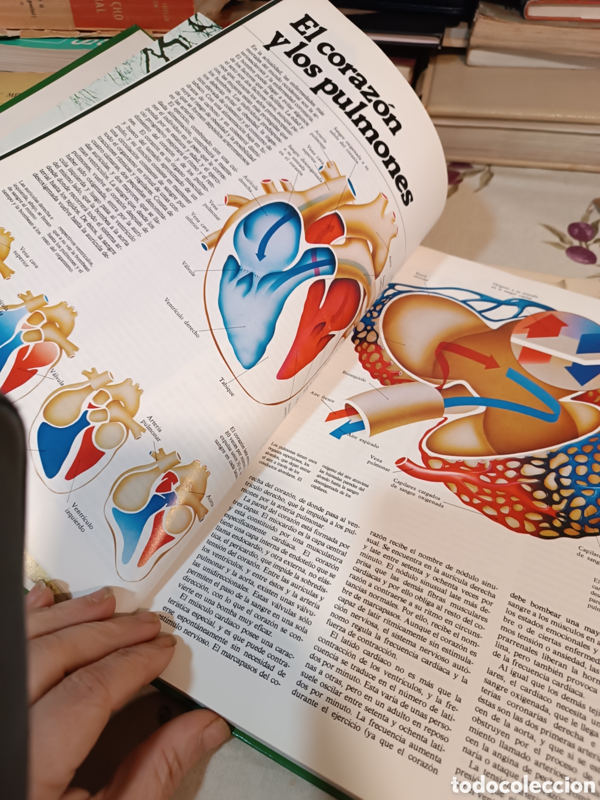 Libros: El libro de la salud - Foto 4