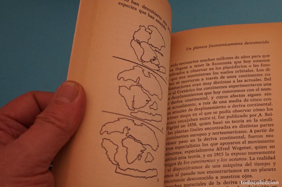 Libros: 9D - EL ENIGMA DE LA DESAPARICION DE LOS DINOSAURIOS - JORGE BLASCHKE / LIBROEXPRES - Foto 6