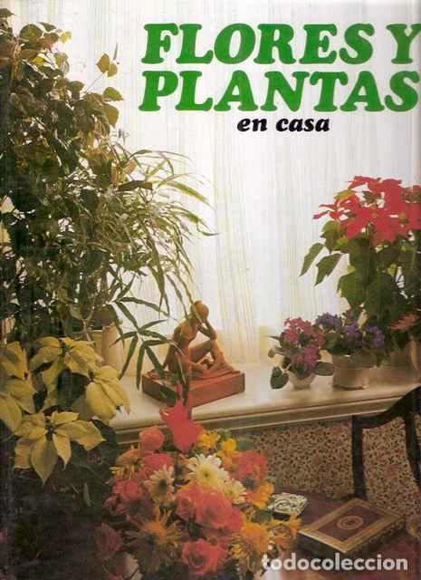 Libros: Flores y plantas en casa - Stevenson, Violet - Foto 1