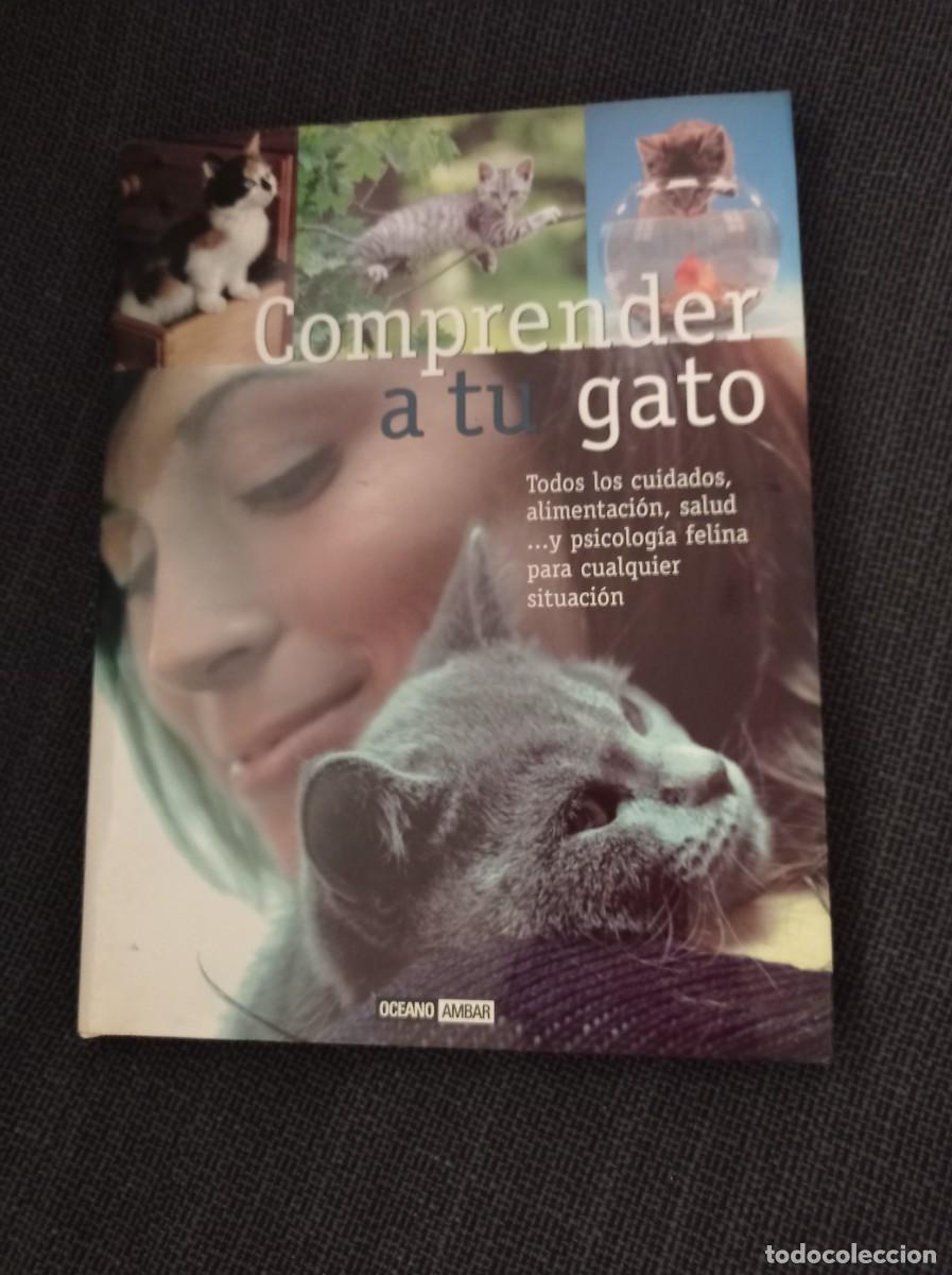Libros: Libro Comprender a tu gato. Barbara Braus. Oc&eacute;ano &Aacute;mbar 2004. - Foto 1