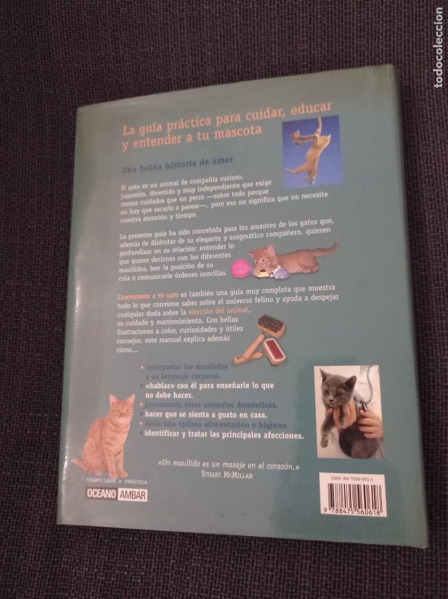 Libros: Libro Comprender a tu gato. Barbara Braus. Oc&eacute;ano &Aacute;mbar 2004. - Foto 2