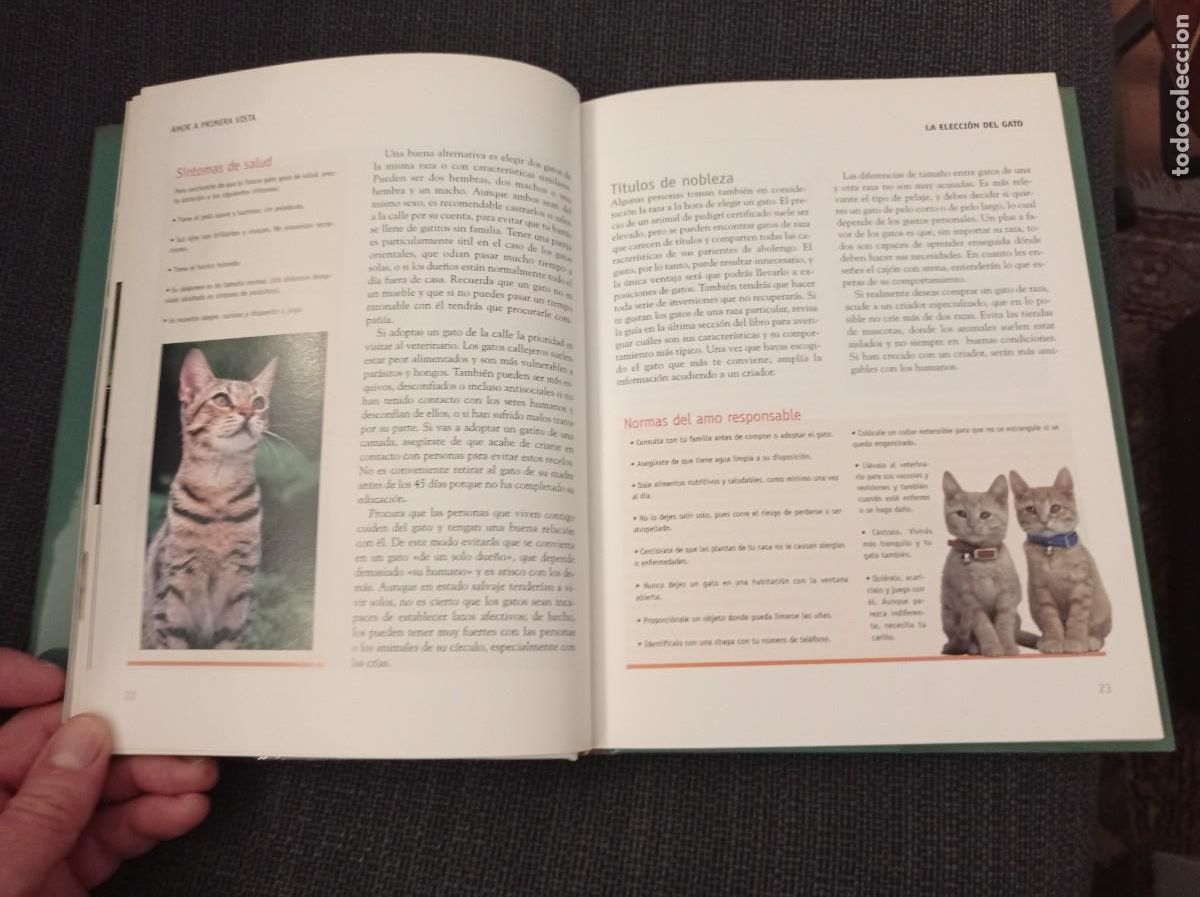 Libros: Libro Comprender a tu gato. Barbara Braus. Oc&eacute;ano &Aacute;mbar 2004. - Foto 6