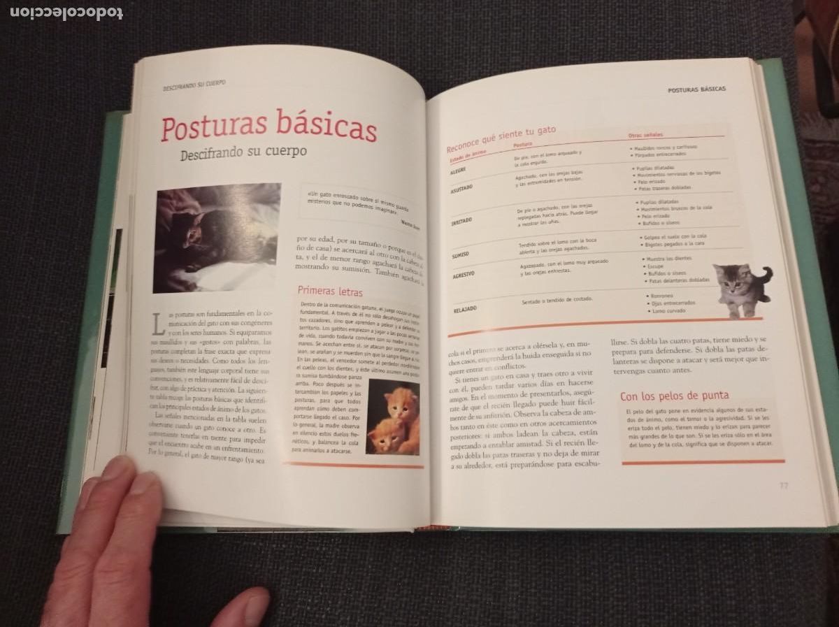 Libros: Libro Comprender a tu gato. Barbara Braus. Oc&eacute;ano &Aacute;mbar 2004. - Foto 7