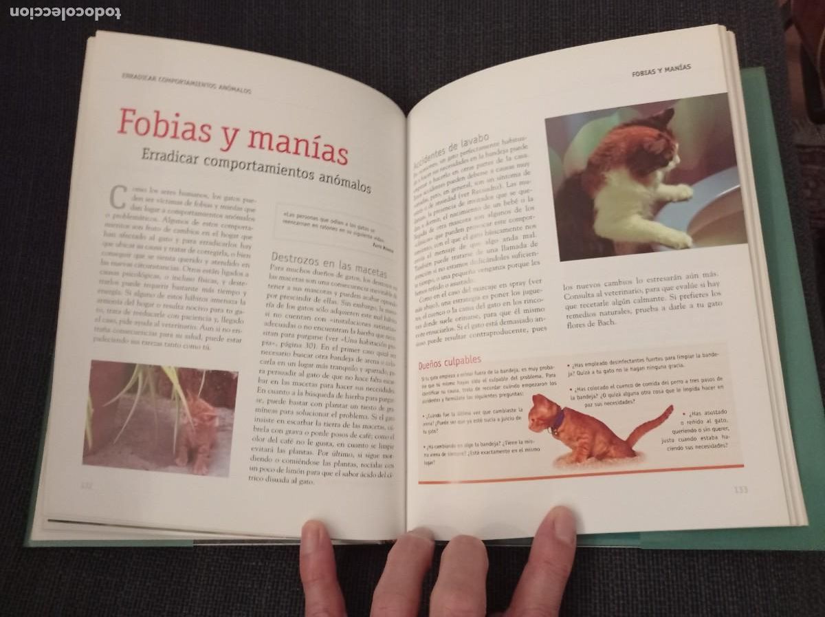 Libros: Libro Comprender a tu gato. Barbara Braus. Oc&eacute;ano &Aacute;mbar 2004. - Foto 8