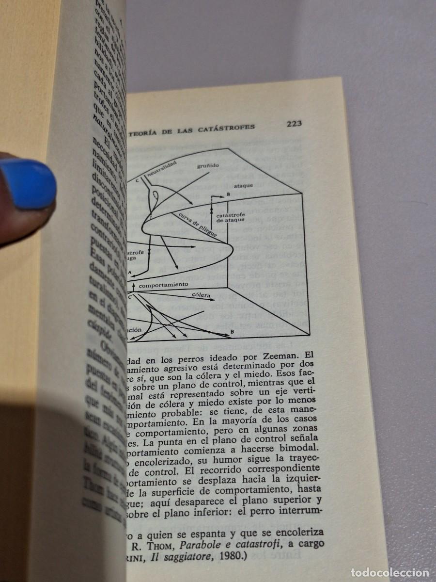 Libros: El lenguaje del arte - Omar Calabrese - Foto 3
