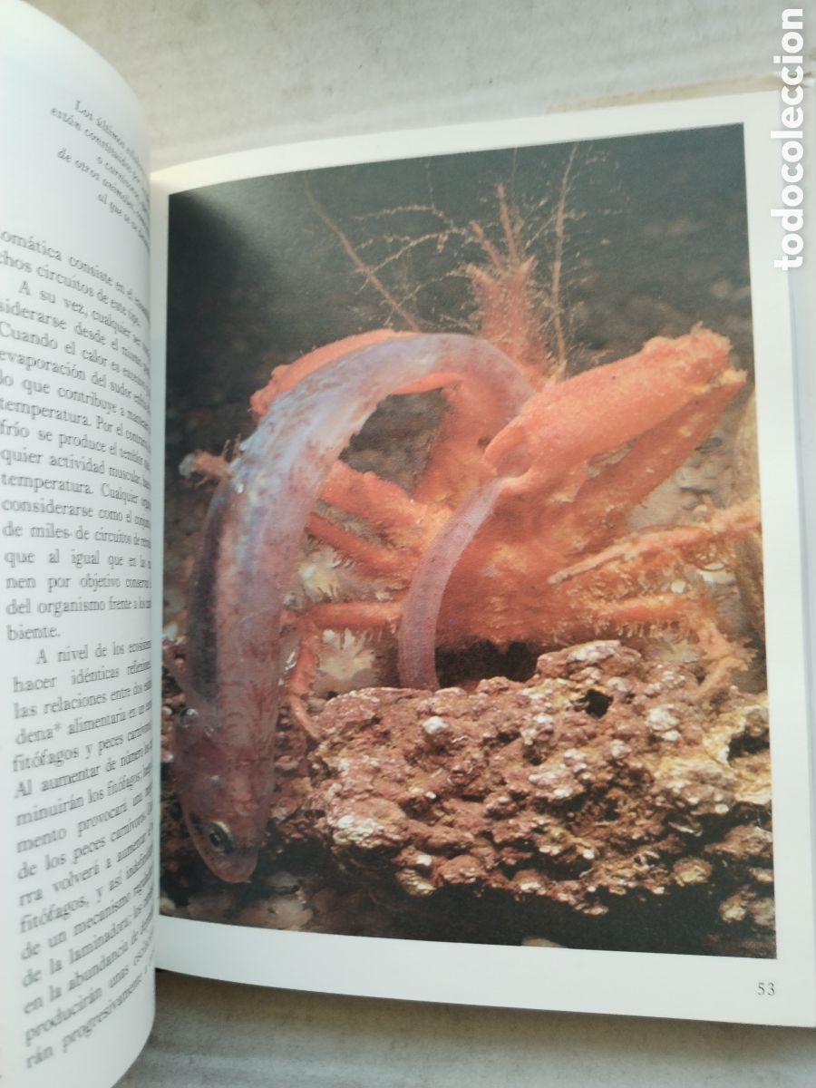Libros: LOS OCEANOS/SALVAT - Foto 5