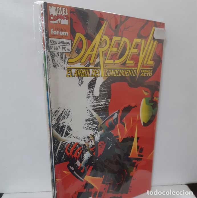 Libros: DAREDEVIL. EL &Aacute;RBOL DEL CONOCIMIENTO (7 EJEMPLARES, COMPLETO). FORUM (GRAPA) - CHICHESTER - MCDANIEL - Foto 1