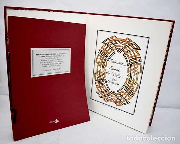Libros: Instrucci&oacute;n general de el cultibo de tabacos.- Rap&uacute;n, Nicol&aacute;s Jos&eacute; - Foto 1