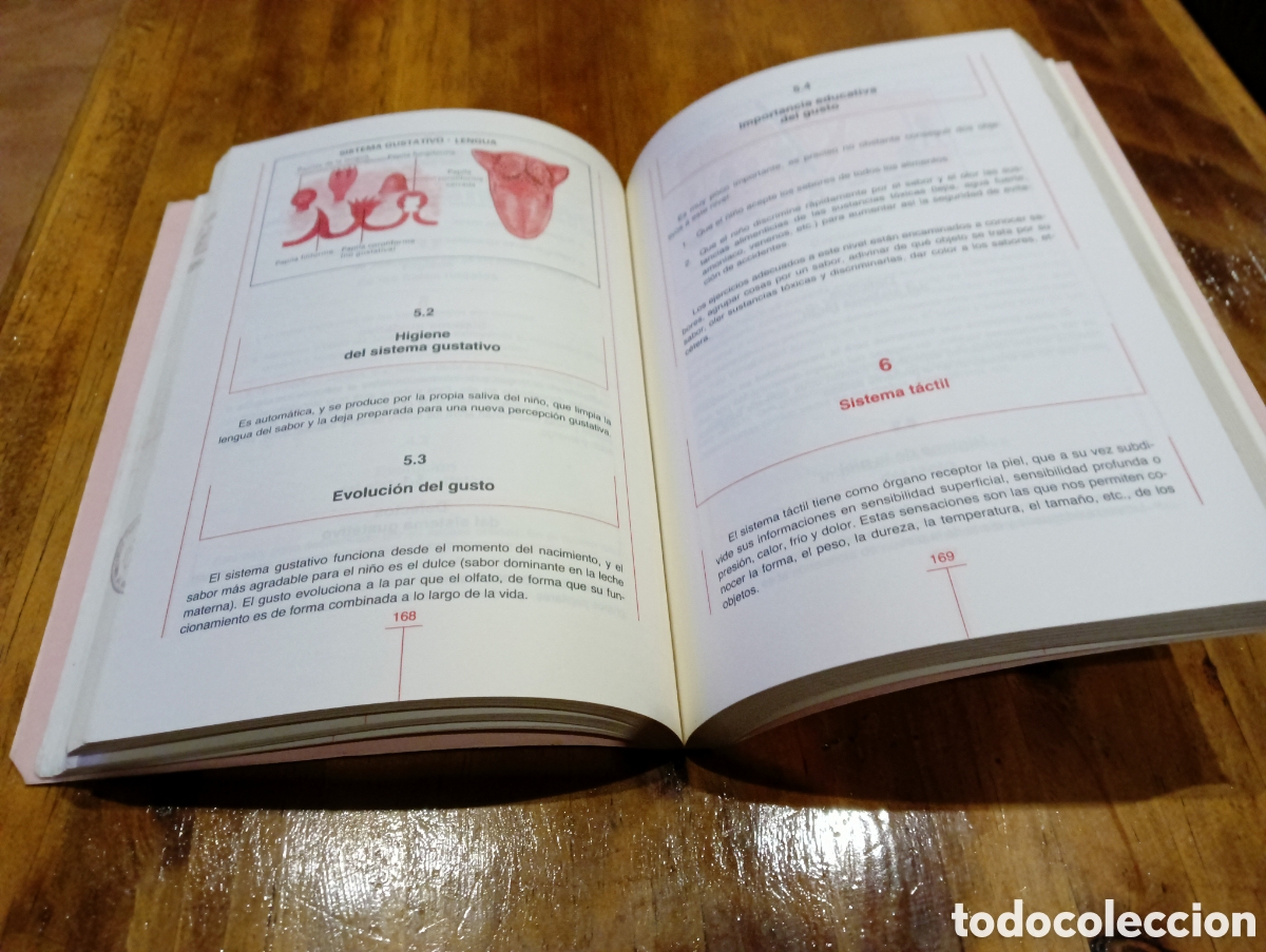 Libros: Jard&iacute;n de infancia - Foto 2