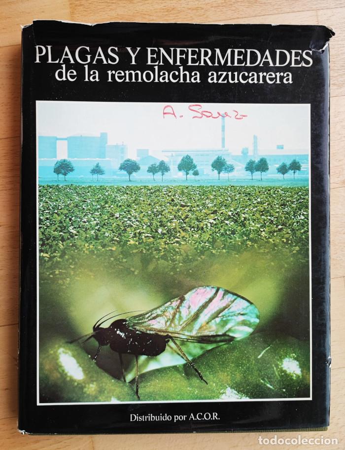 Livros em segunda m&atilde;o: PLAGAS Y ENFERMEDADES DE LA REMOLACHA AZUCARERA - Jos&eacute; Luis Villar&iacute;as Moradillo
