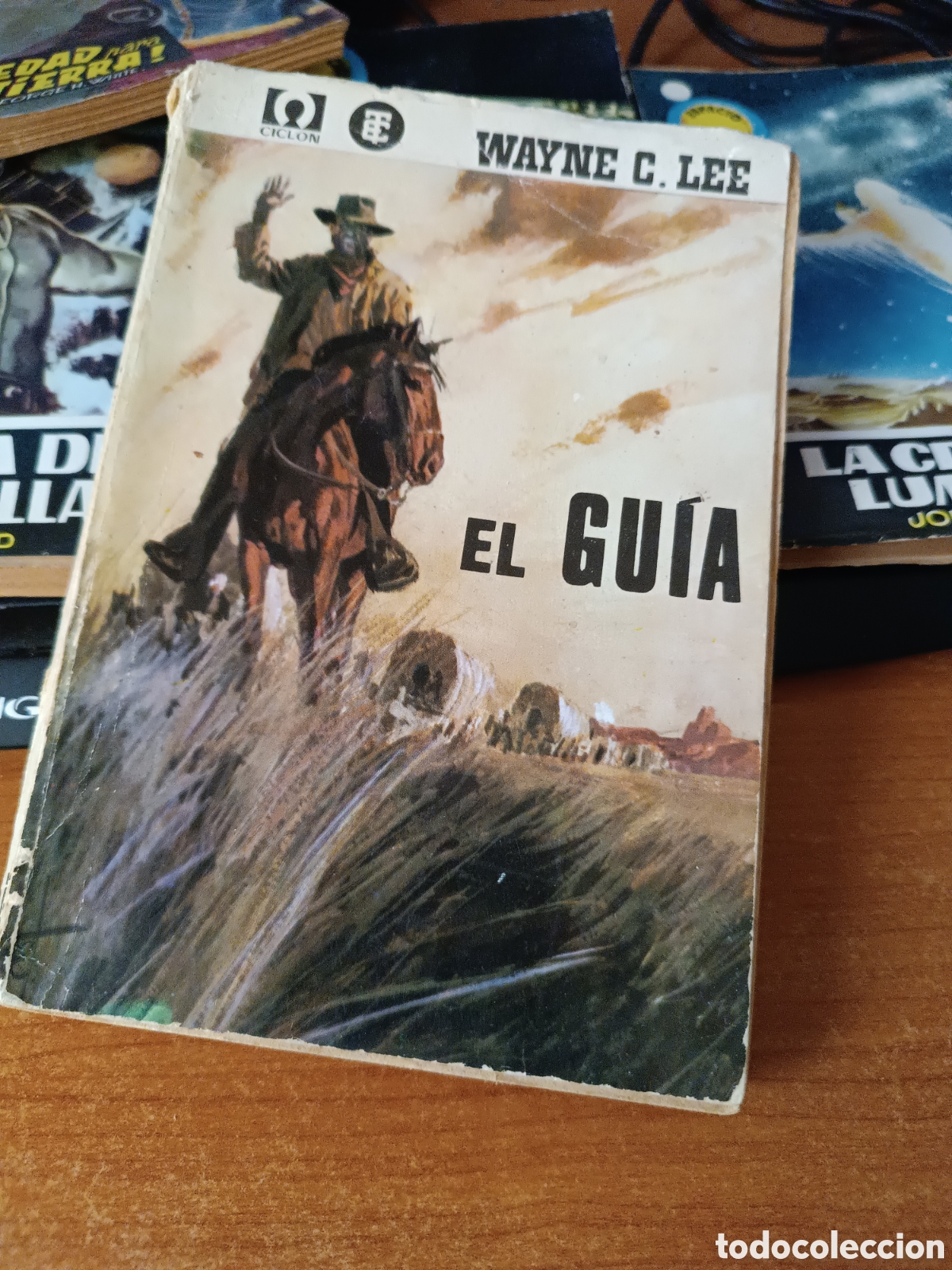 Libros: El guia - Foto 1