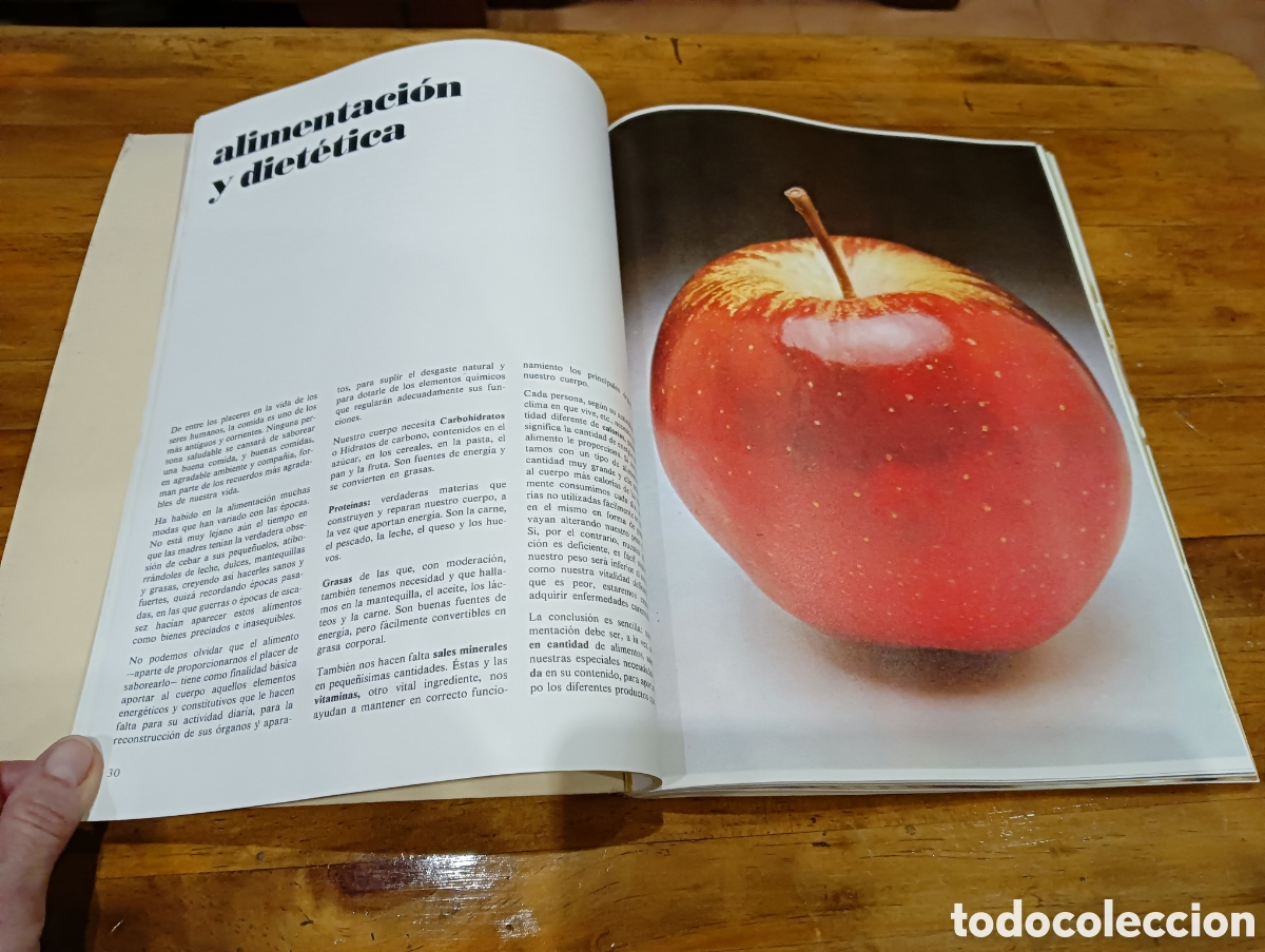 Libros: El libro de la familia - Foto 3
