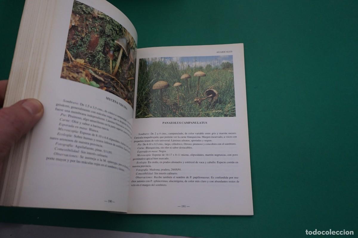Libros: AR7C/ SETAS DE LA PROVINCIA DE SEGOVIA - Foto 3