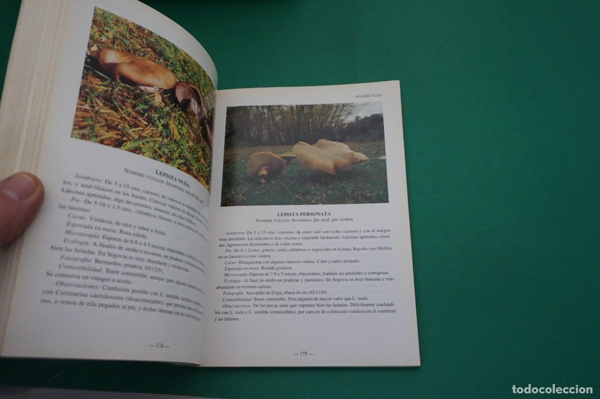 Libros: AR7C/ SETAS DE LA PROVINCIA DE SEGOVIA - Foto 4