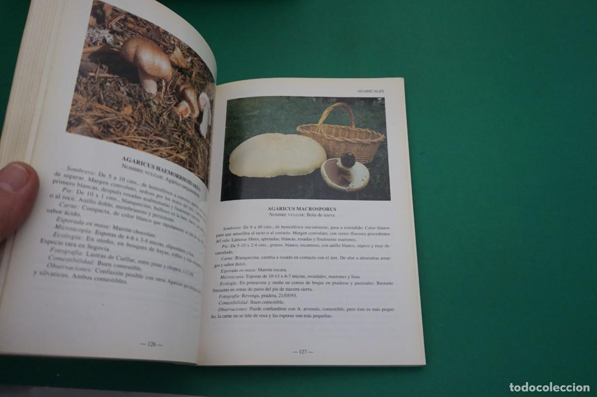 Libros: AR7C/ SETAS DE LA PROVINCIA DE SEGOVIA - Foto 5