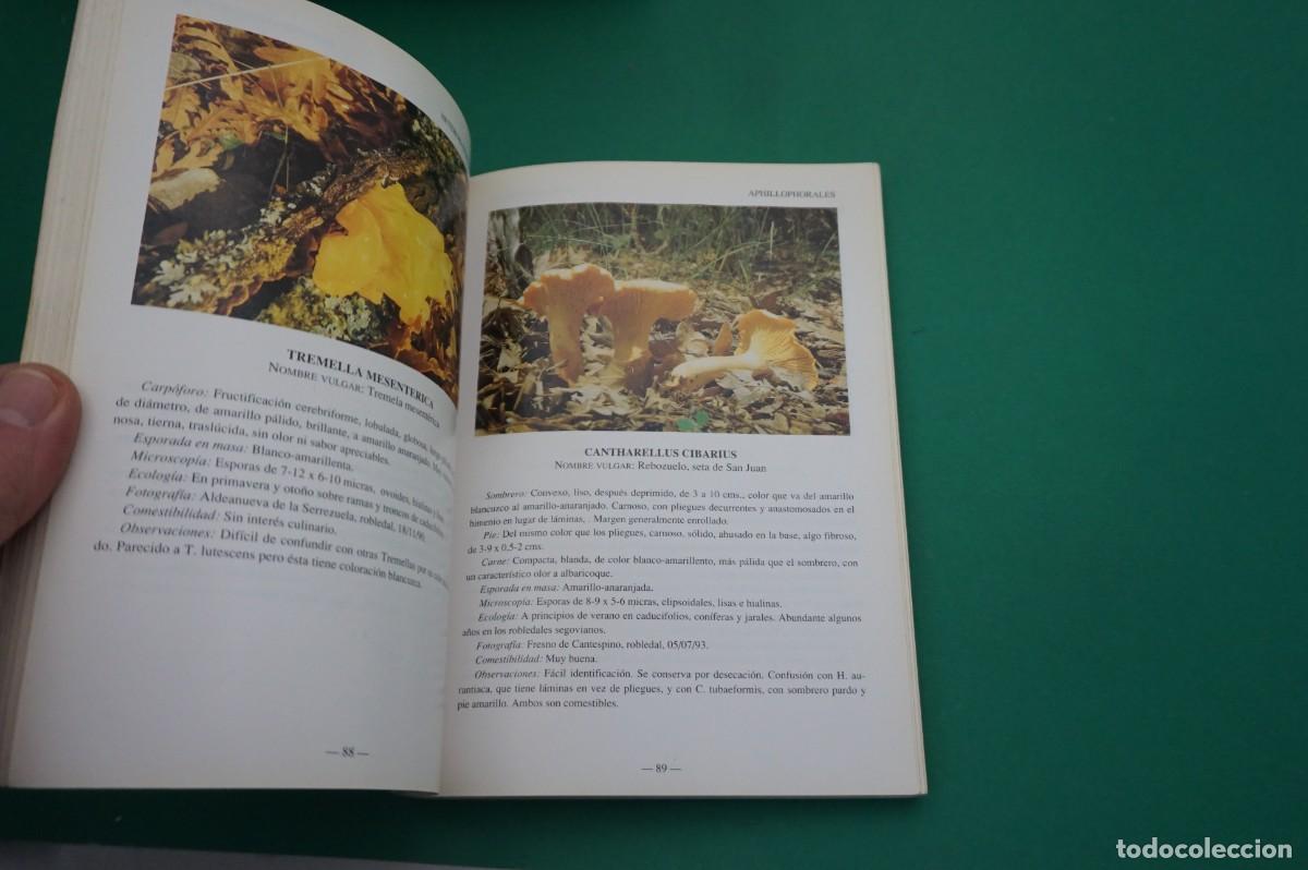 Libros: AR7C/ SETAS DE LA PROVINCIA DE SEGOVIA - Foto 6