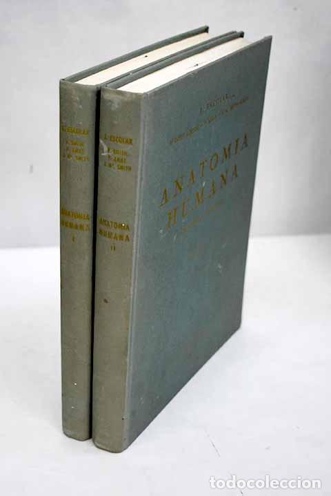 Libros: Anatom&iacute;a humana.- Escolar, J. - Foto 1