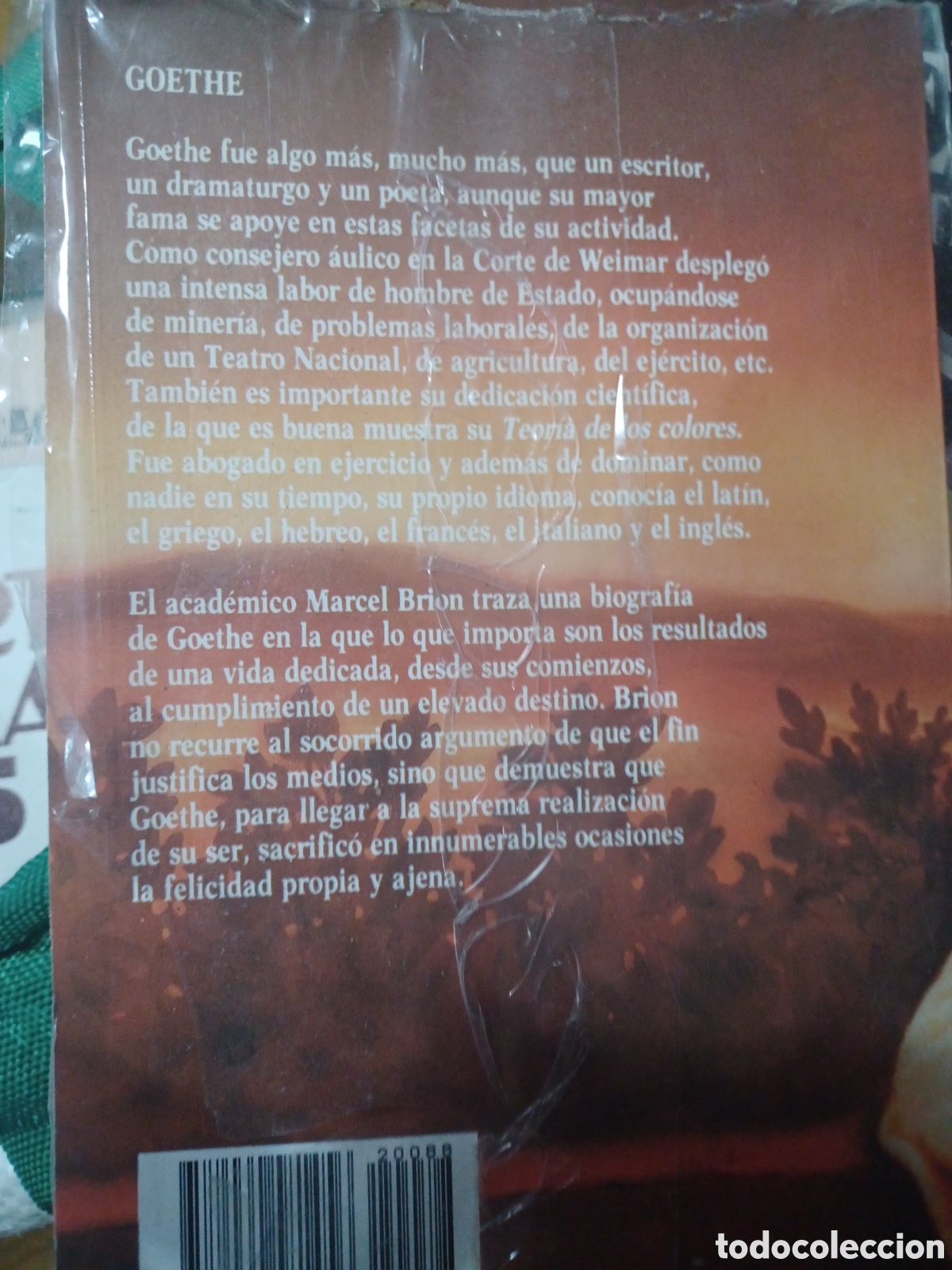 Libros: Barybook 295. GOETHE (1) Marcel Bri&oacute;n salvat - Foto 2