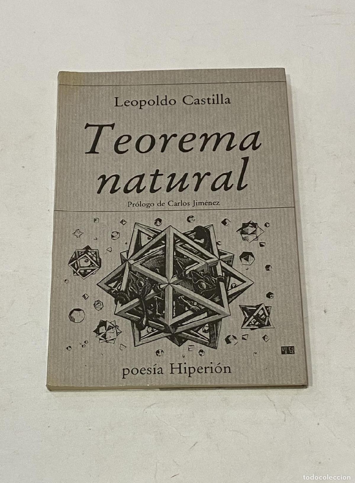 Libros: CASTILLA, Leopoldo. - Teorema natural. - Foto 1