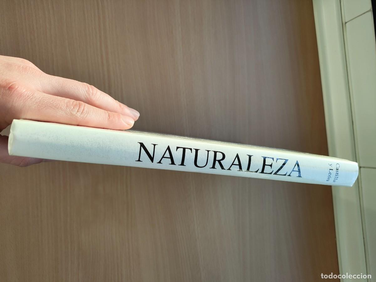 Libros: LIBRO DE LA NATURALEZA. CASTILLA Y LEON - Foto 2