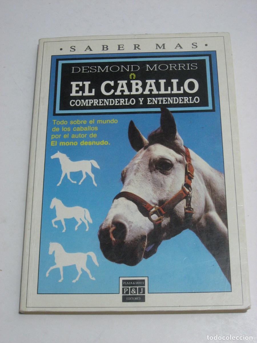Libros: EL CABALLO COMPRENDERLO Y ENTENDERLO - Desmond Morris - Foto 1
