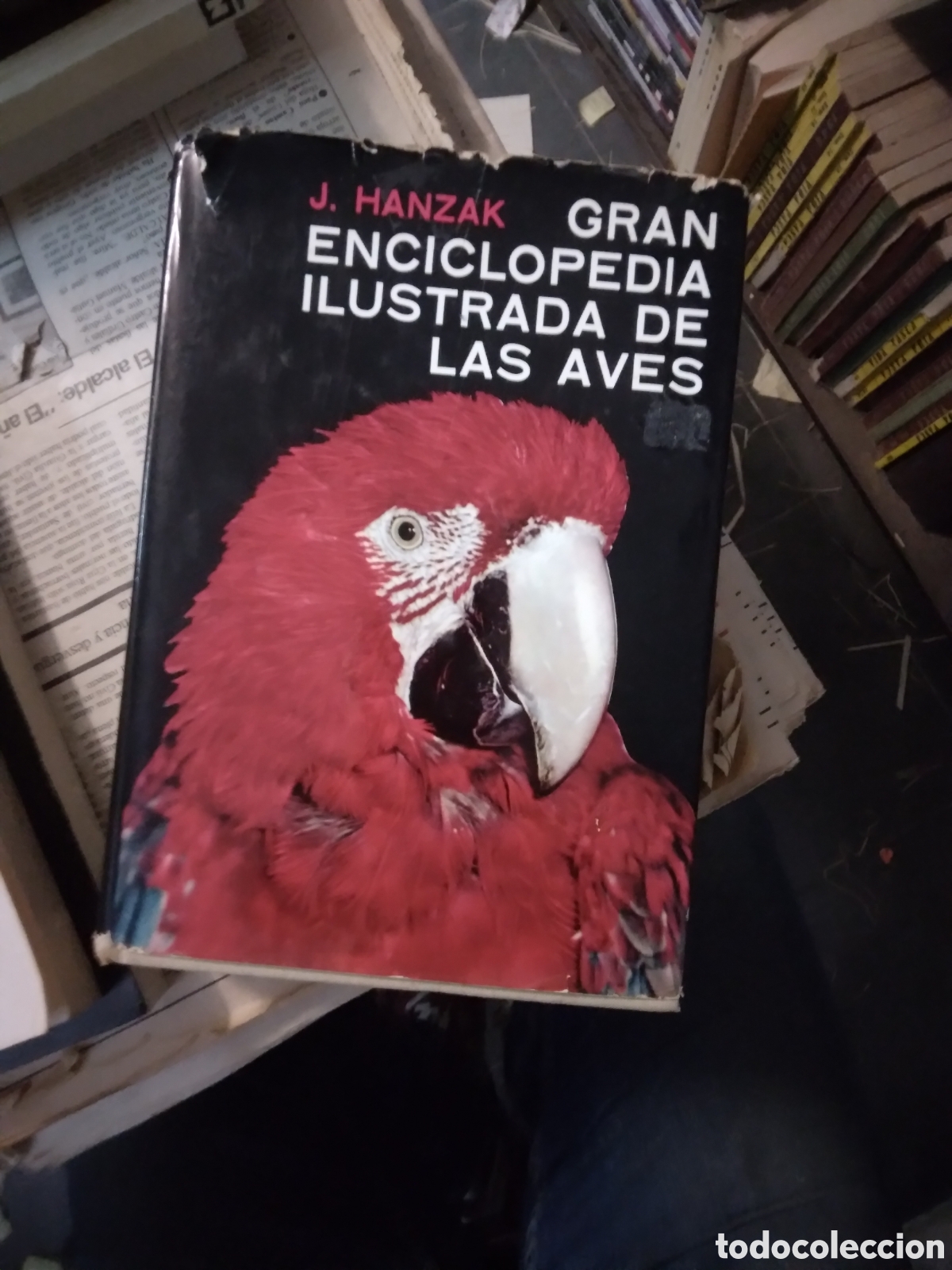 Libros: J. Hanzak, Gran enciclopedia ilustrada de las aves - Foto 1