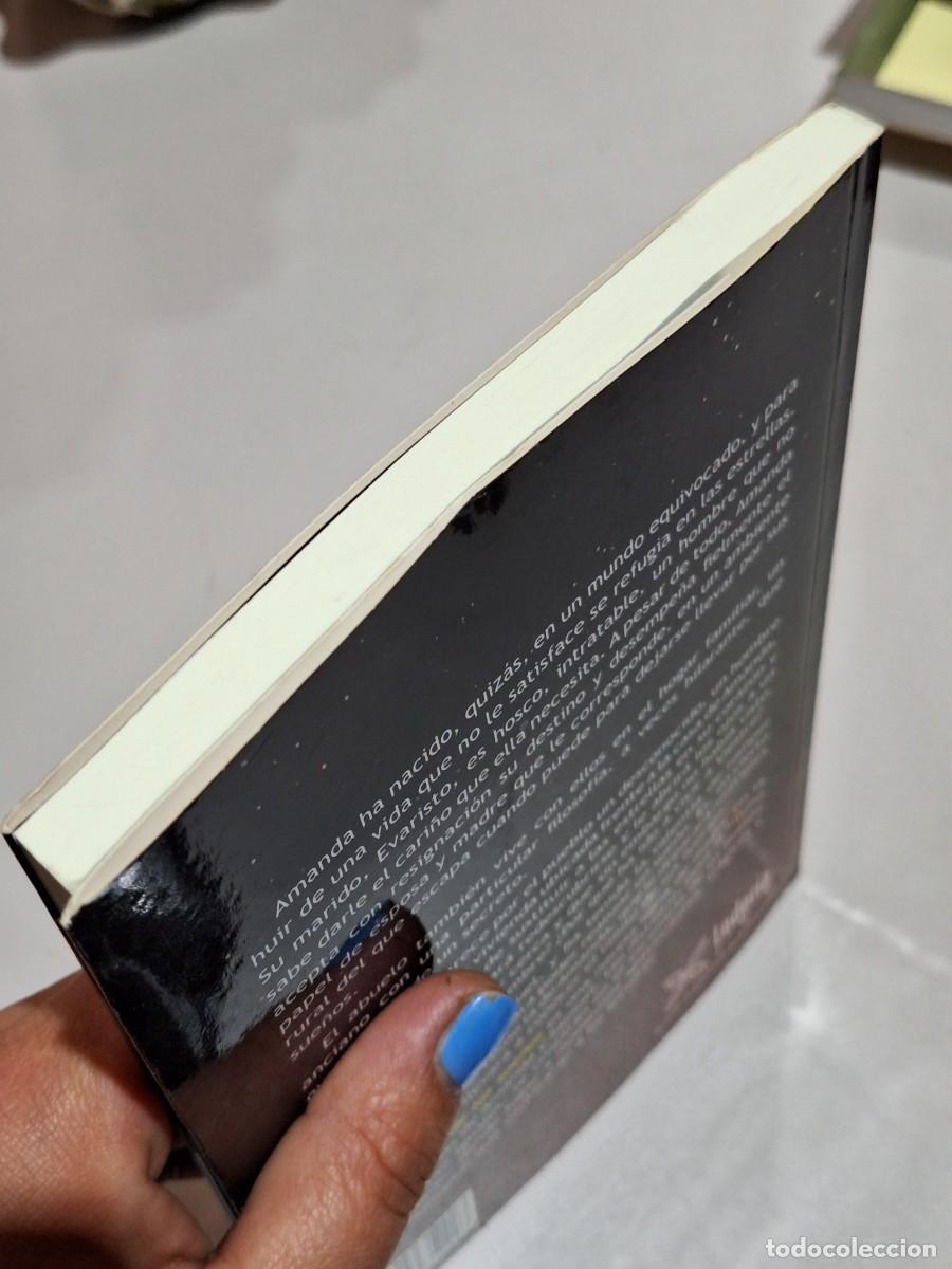 Libros: El perfil de los sue&ntilde;os . Maribel Romero Soler - Foto 3