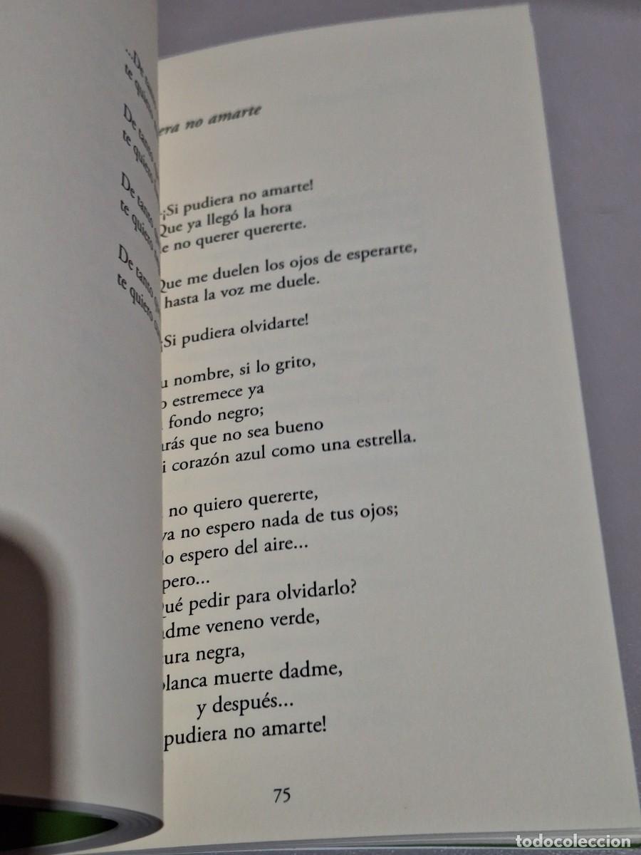 Libros: ISLA IGNORADA &ndash; GLORIA FUERTES - Foto 3