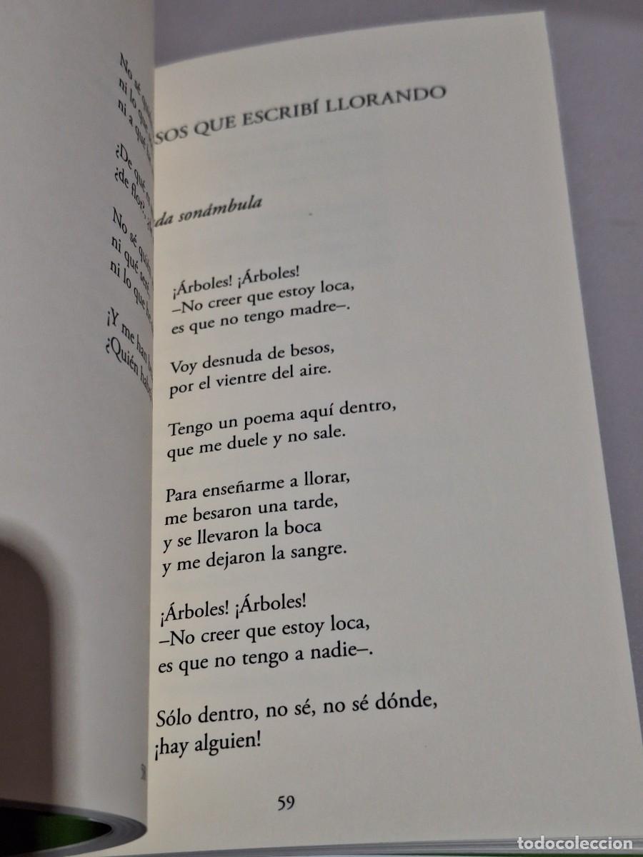 Libros: ISLA IGNORADA &ndash; GLORIA FUERTES - Foto 4
