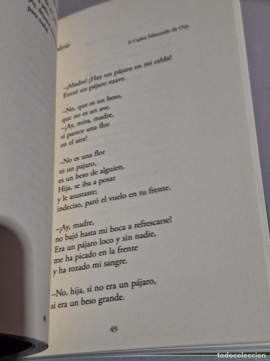 Libros: ISLA IGNORADA &ndash; GLORIA FUERTES - Foto 5