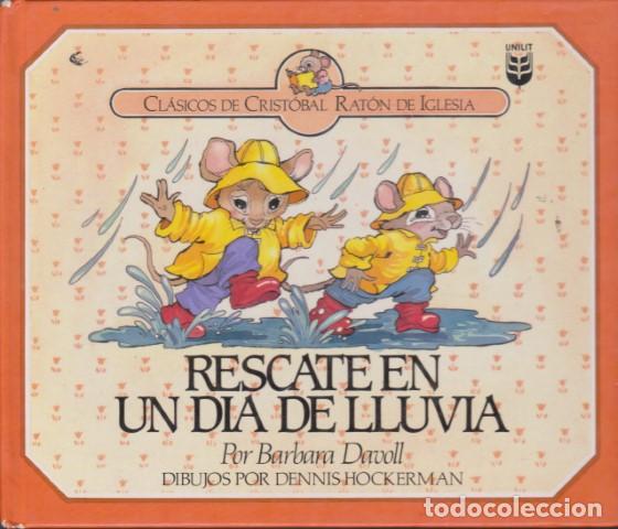 Libros: RESCATE EN UN DIA DE LLUVIA - BARBARA DAVOLL - DENNIS HOCKERMAN - Foto 1