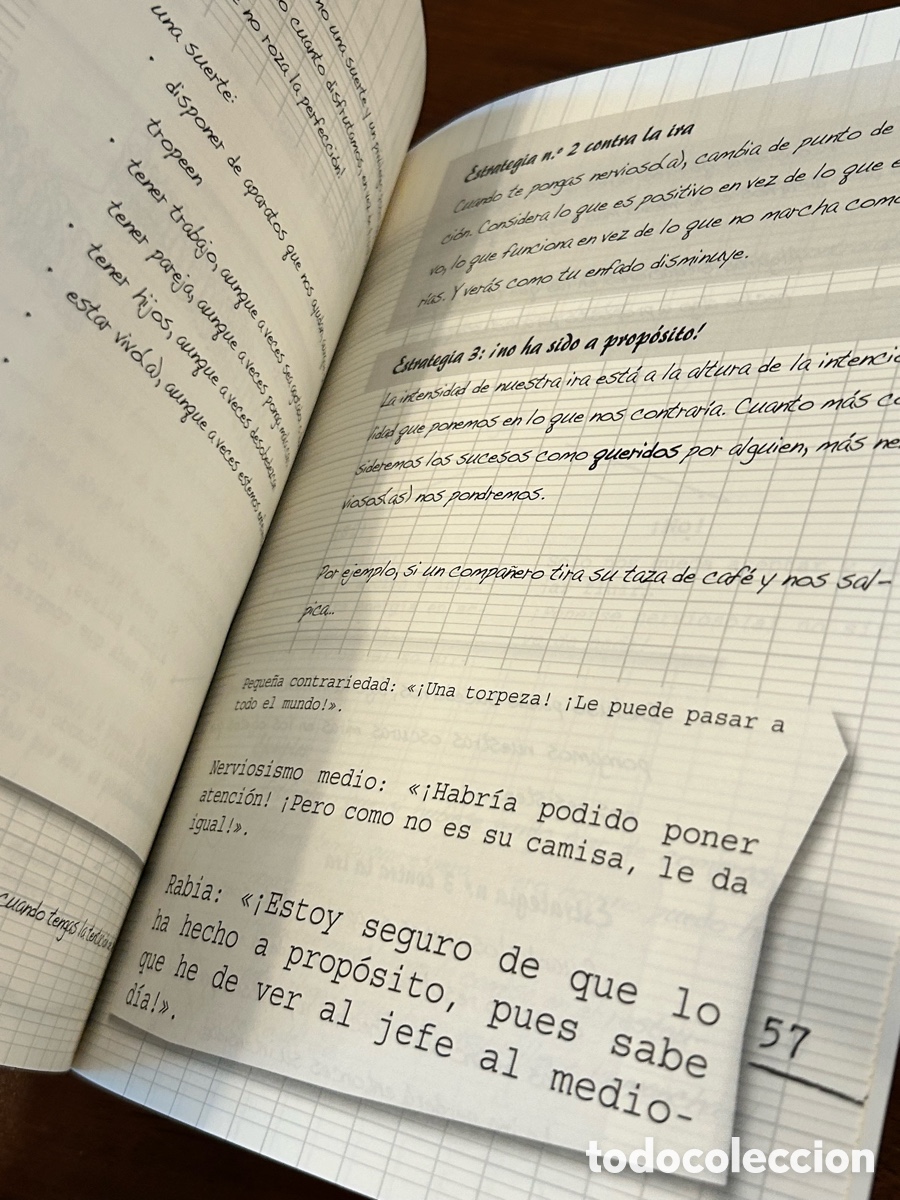Libros: CUADERNO DE EJERCICIOS PARA VIVIR LA IRA EN POSITIVO - Foto 4