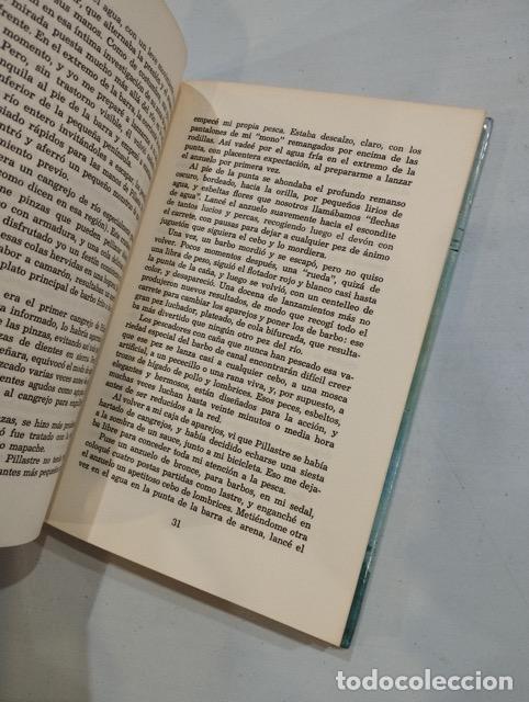 Libros: S. North - Pillastre: Mi tremendo mapache - Foto 2