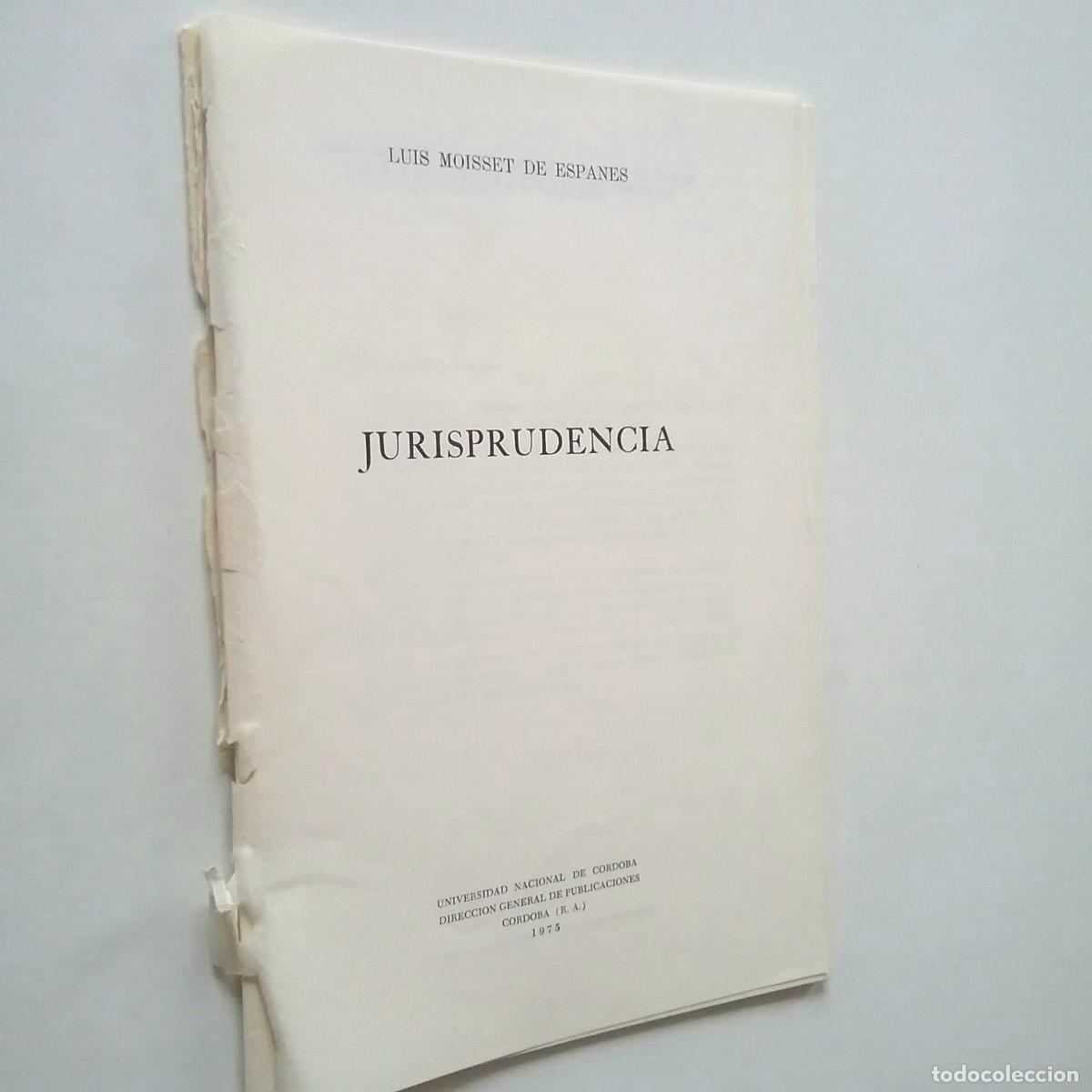 Libros: Luis Moisset de Espan&eacute;s - Jurisprudencia - Foto 1