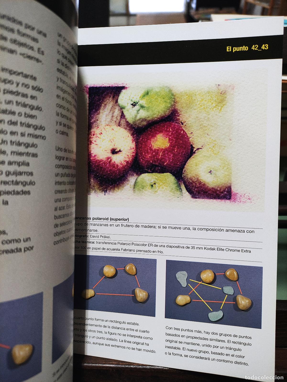 Libros: COMPOSICI&Oacute;N - DAVID PRAKEL - Foto 2