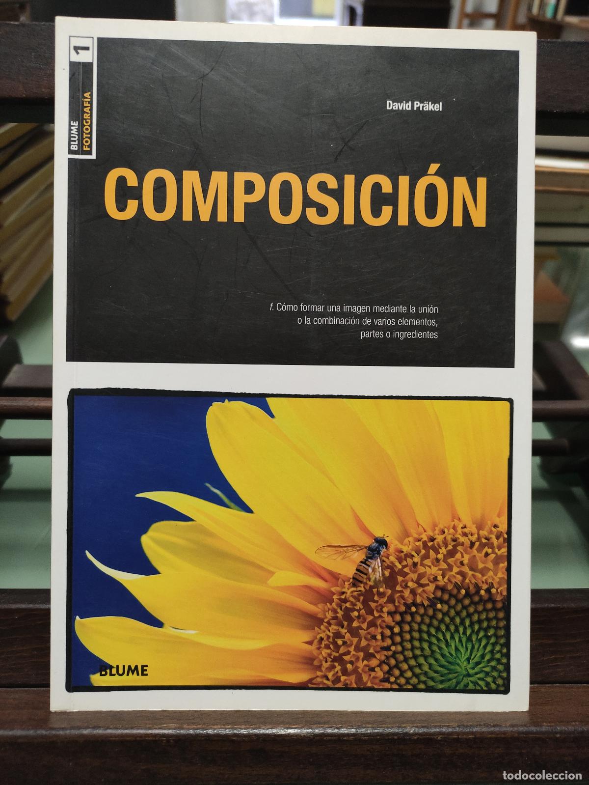 Libros: COMPOSICI&Oacute;N - DAVID PRAKEL - Foto 1