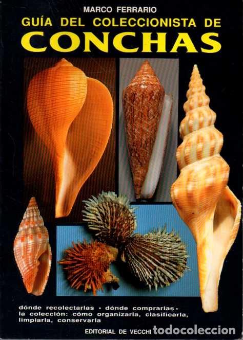 Libros: LAS CONCHAS. - FERRARIO, Marco.