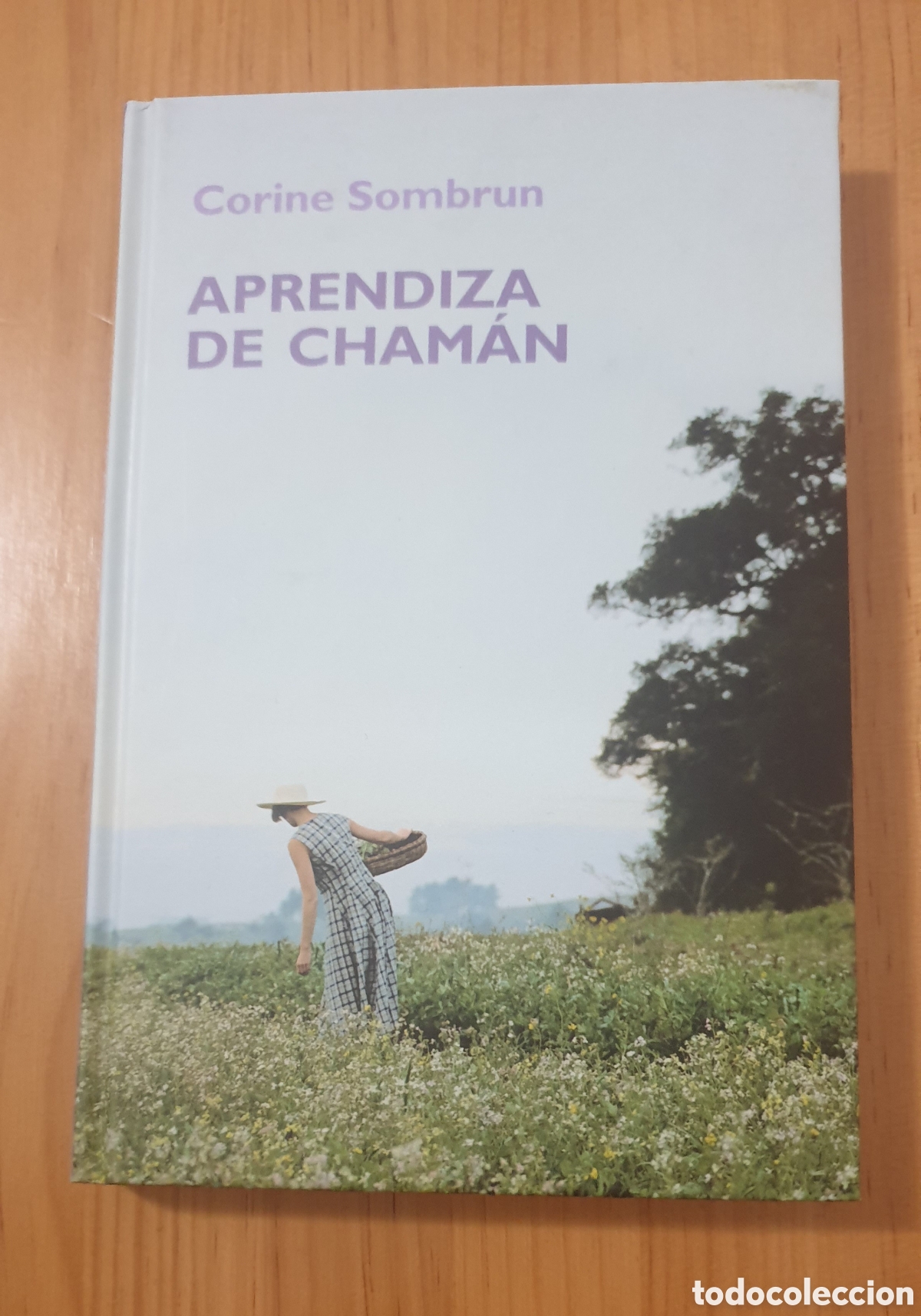 Libros: APRENDIZA DE CHAMAN. CORINE SOMBRUN. RBA. - Foto 1