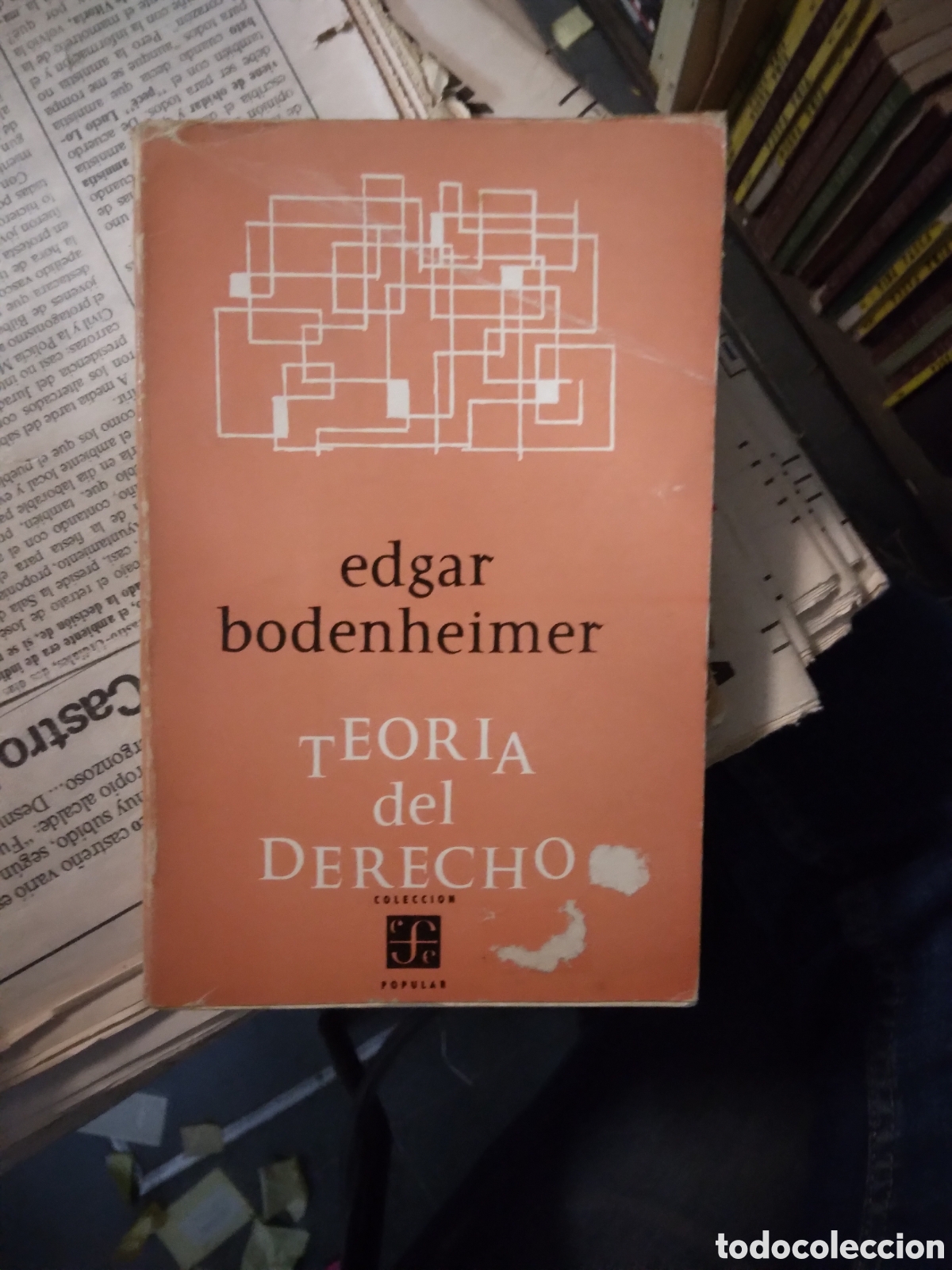 Libros: Edgar Bodenheimer, Teor&iacute;a del derecho - Foto 1