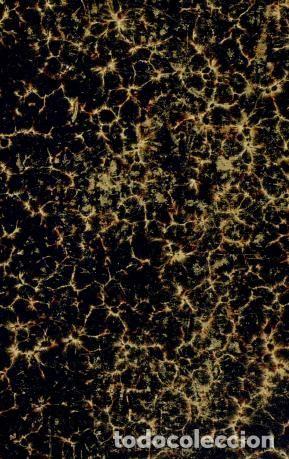 Libros: An Essay on Scientific Understanding of the Emergence of Human Life and the Prog - Chernyshevskij Ni