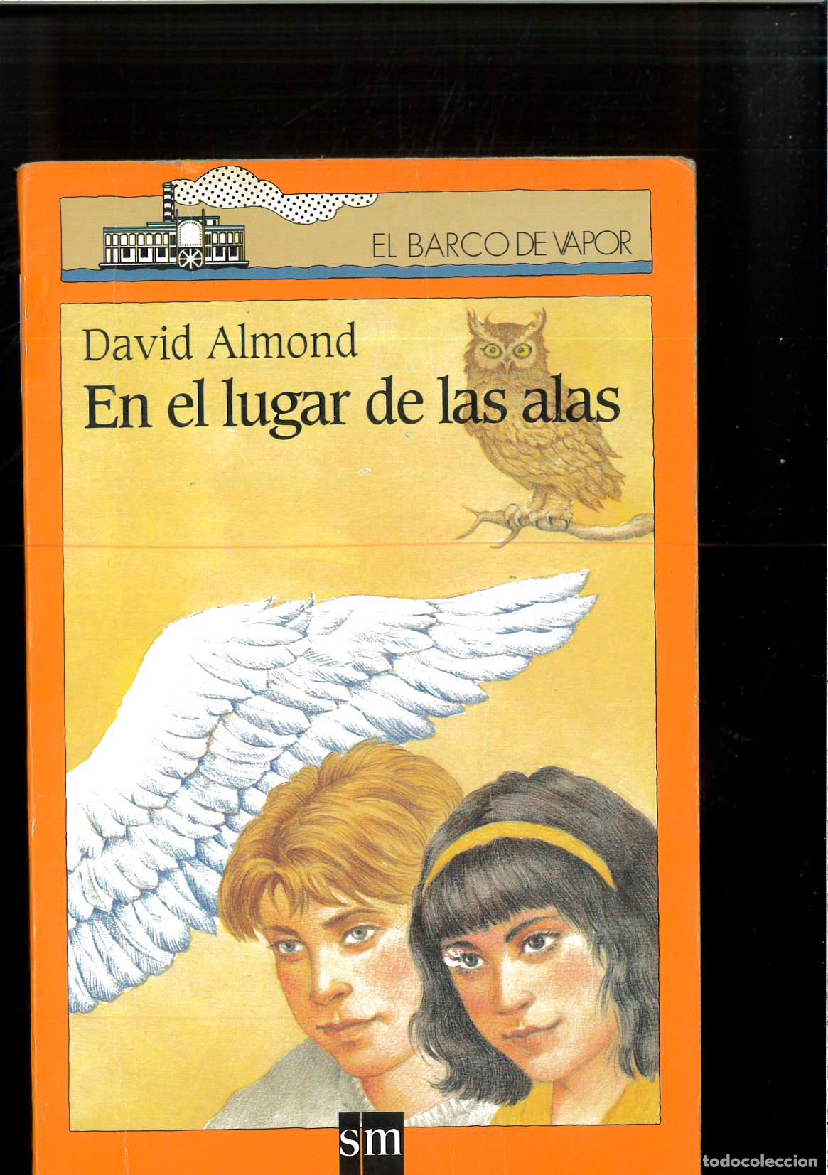 Libros: En el Lugar de Las Alas Pb - Almond, David - Foto 1