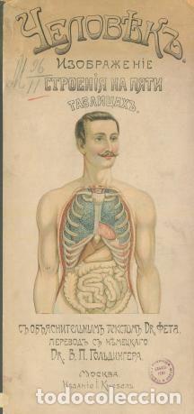 Libros: Man - Fet - Foto 1