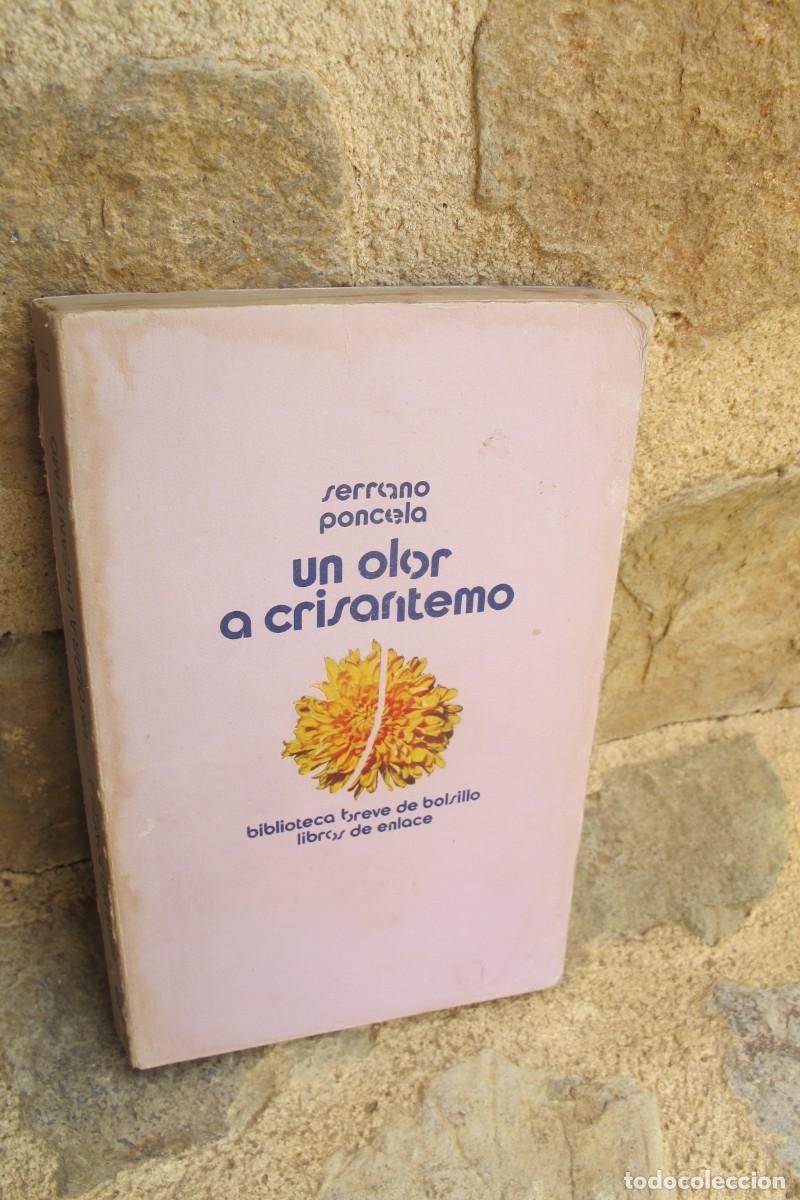 Libros: UN OLOR A CRISANTEMO. SERRANO PONCELA - Foto 1