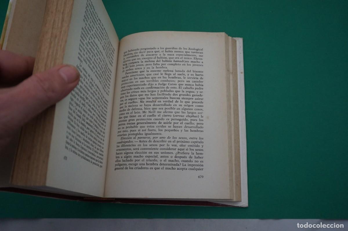 Libros: AR6DE/ EL ORIGEN DEL HOMBRE TOMO II - DARWIN / EDICIONES PETRONIO - Foto 3