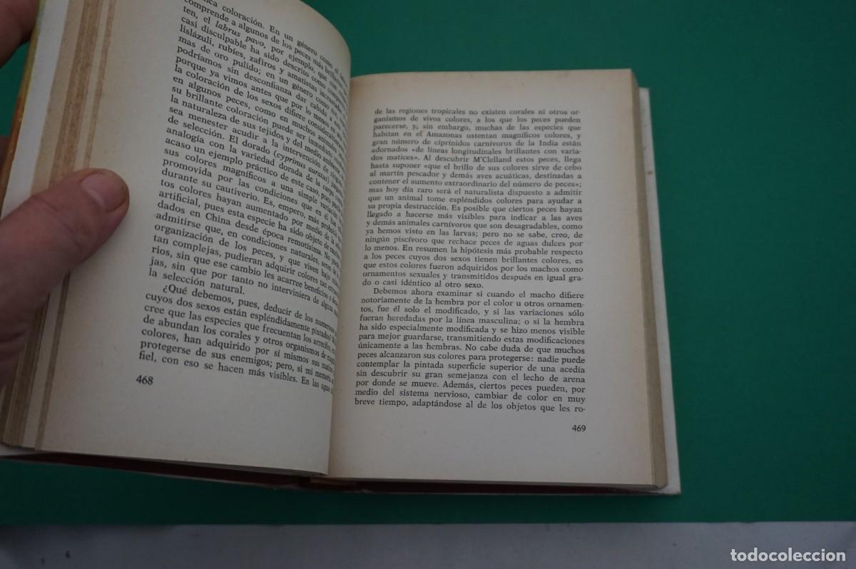 Libros: AR6DE/ EL ORIGEN DEL HOMBRE TOMO II - DARWIN / EDICIONES PETRONIO - Foto 4
