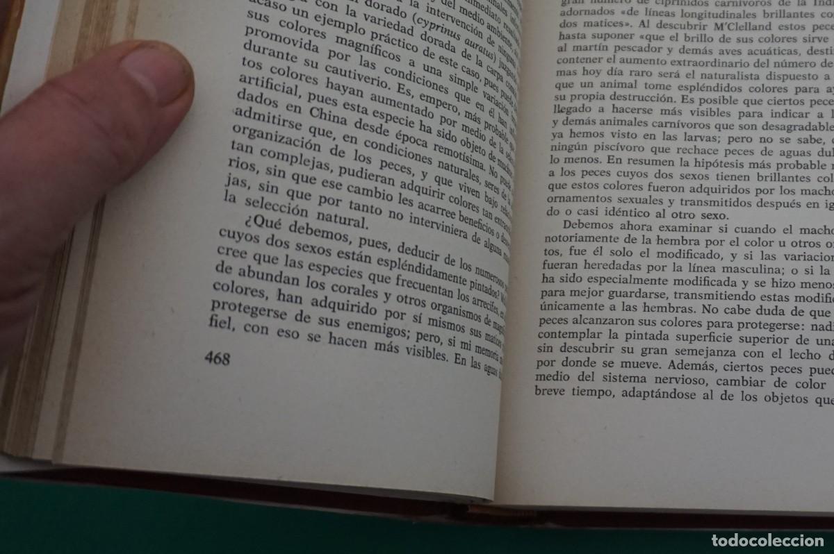 Libros: AR6DE/ EL ORIGEN DEL HOMBRE TOMO II - DARWIN / EDICIONES PETRONIO - Foto 5
