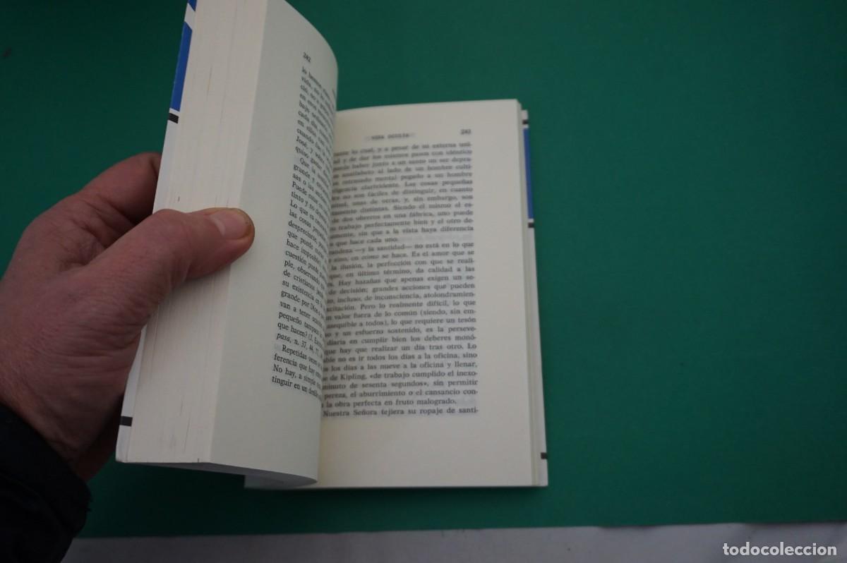 Libros: AR6DE/ LA VIRGEN NUESTRA SE&Ntilde;ORA - FEDERICO SUAREZ / EDICIONES RIALP - Foto 3