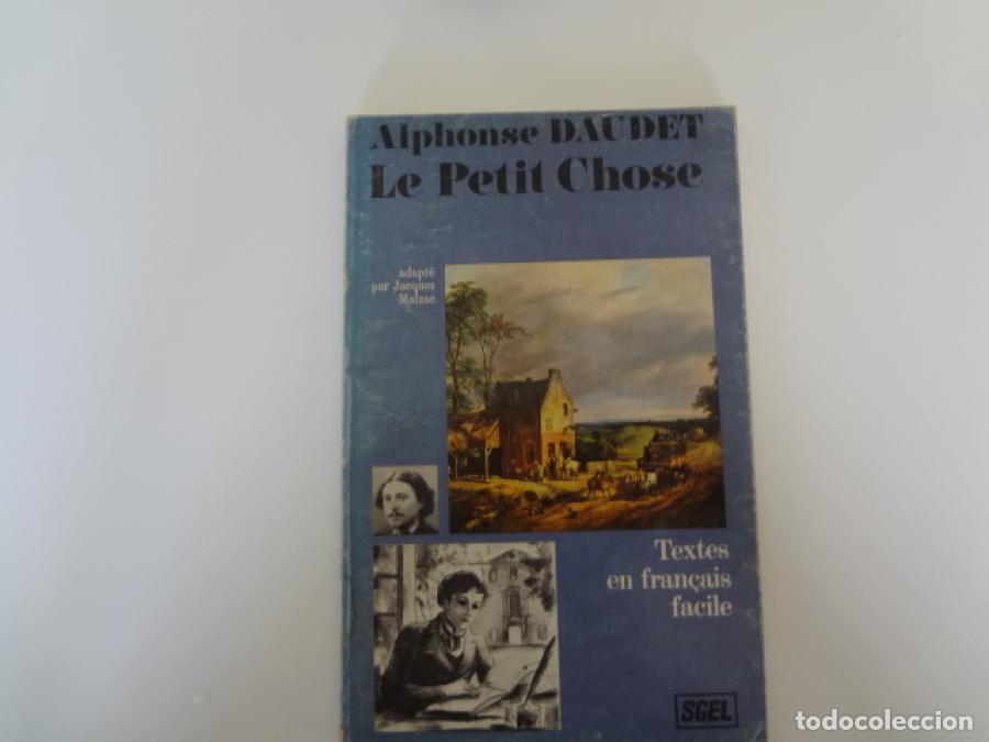 Libros: le petit chose - alfhons daudet - en frances - tdk199 - - Foto 1
